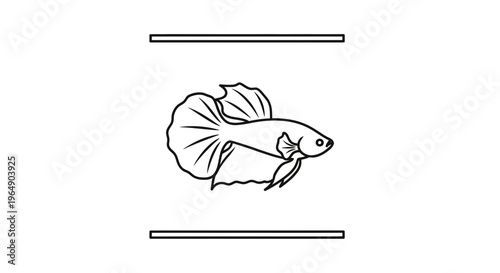 Striking black outline illustration of a beautiful aquatic betta fish design element