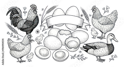 Farm Animals and Eggs Collection: Rooster, Hen, Duckling, Eggs, Wheat