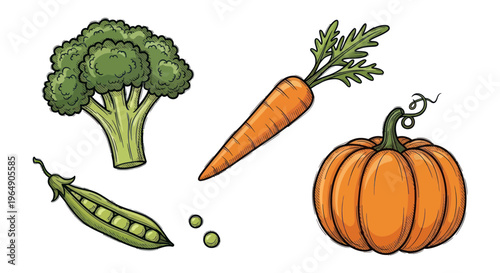 Fresh Vegetables: Broccoli, Carrot, Pumpkin, Peas - Healthy Food Illustration
