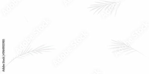 A single soft blue bird feather with fluffy plume texture is isolated on a white background in a macro closeup showing the delicate nature of a swan quill