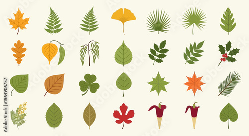 Various leaves and plants collection