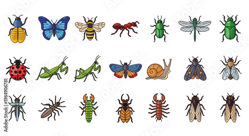 Collection of diverse cartoon insects and bugs on a white background.