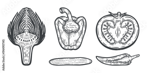 Vegetables cut in half set: tomato, cucumber, chilli and bell pepper, artichoke, lines, hand-drawn, black and white, graphic illustration, engraving isolated