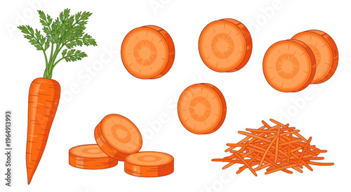 Fresh Carrots: Whole, Sliced, and Grated Vegetable Illustration