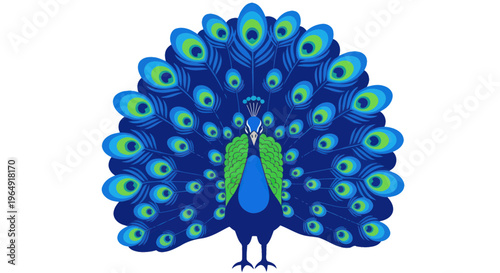 Vibrant Peacock Displaying Feathers - Exotic Bird Illustration