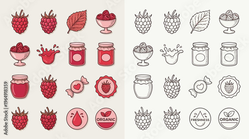 Collection of colorful and outline icons representing raspberries, jams, candies, and organic labels, suitable for food-related designs.