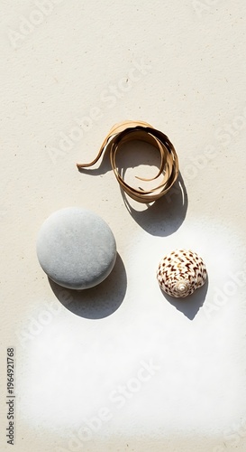 Minimalist nature still life with stone, shell, and leaf artful display