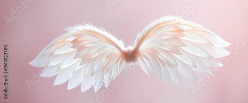 Tiny, delicate, feathered angel wings, pastel colors, soft light,  illustration,  feathers