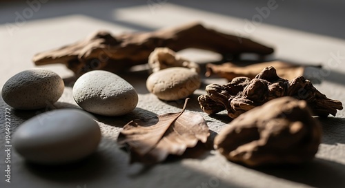Organic zen composition, serene stones, foliage, wood, neutral colors, light and shadow