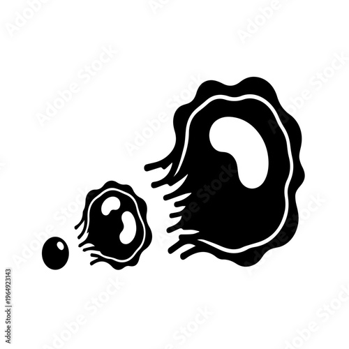 Amoeba Cell Movement