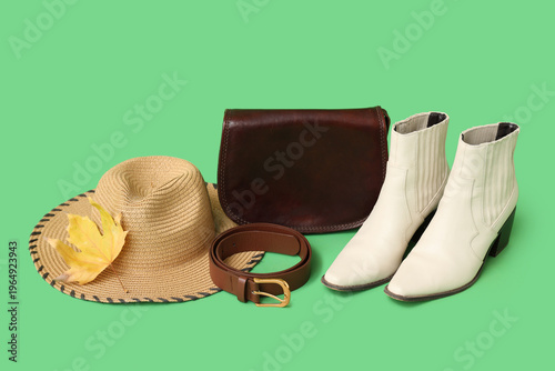 Stylish female shoes, handb...