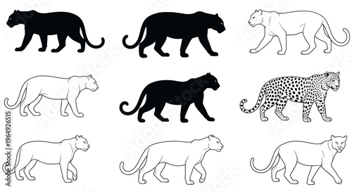 Panther Silhouette and Outline Collection: Black and White Big Cat Poses