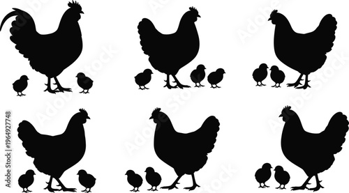 Set of chicken family silhouettes with rooster hen and baby chicks icons isolated on white background for farm animal illustrations