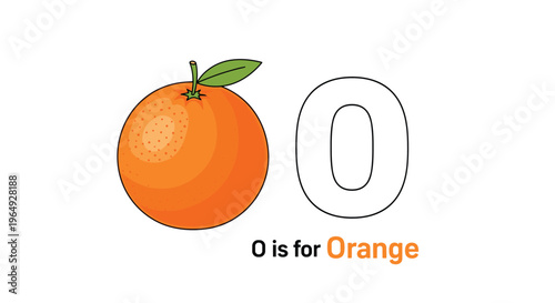 Educational illustration for the letter O featuring a realistic orange fruit with a green leaf and simple text for learning.