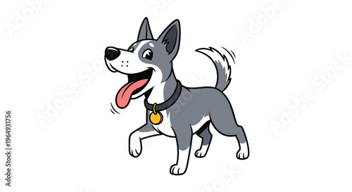 Energetic grey and white dog with a collar and tag happily running with its tongue out on a white background.