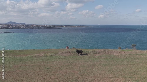 제주 함덕해수욕장