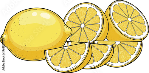 Fresh Lemon and Sliced Lemon Vector Illustration for Healthy Food and Citrus Designs