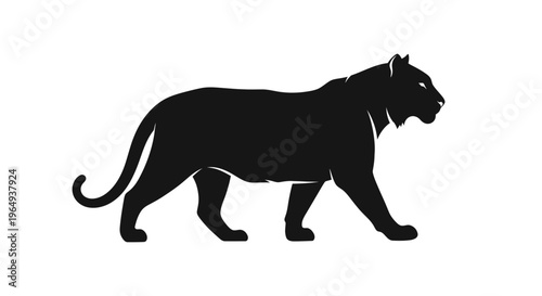 Black Panther Silhouette Walking Isolated On White Background, Powerful Big Cat