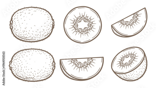 Hand Drawn Kiwi Fruit Set Line Art Illustration Whole and Slices