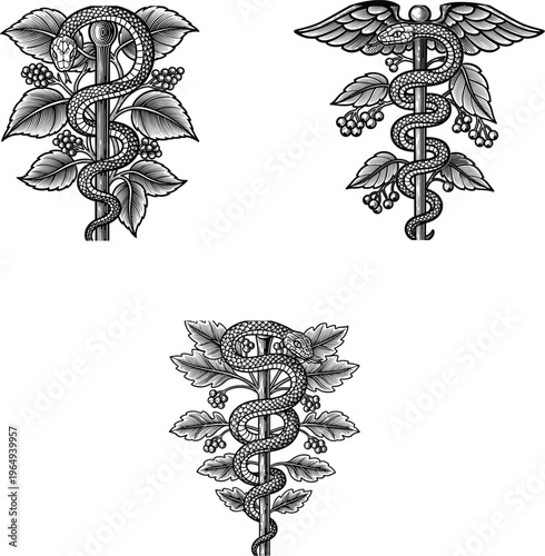 vector set with snakes and leaves for pharmacy healthcare,