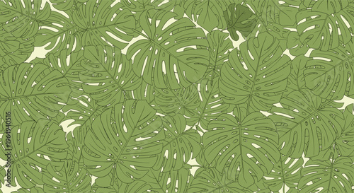 Lush green pattern composed of many overlapping monstera leaves, creating a tropical and botanical atmosphere for wallpaper or design.