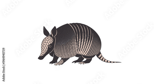 High-quality vector illustration of an armadillo showing the detailed scales and patterns on its protective shell and elongated snout.