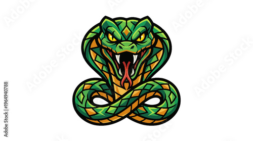 Intensely coiled cobra illustration with striking head, sharp fangs, and open mouth, perfect for a powerful animal mascot or emblem design.