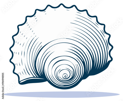 Minimalist line art of a conch shell, featuring a prominent spiral and wavy outer edge.
