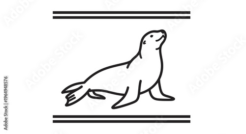 Minimalist black and white line art illustration of a cheerful sea lion looking skyward, framed by
