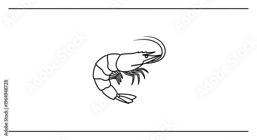 Minimalist black outline drawing of a freshwater shrimp aquatic invertebrate simple design concept