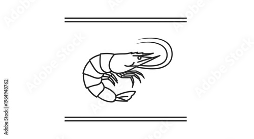 Minimalist Line Art Shrimp Illustration for Seafood Design and Aquatic Themes a Simple Graphic
