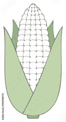Sweet Corn Ear with Green Husks, Minimalist Style Vegetable Illustration