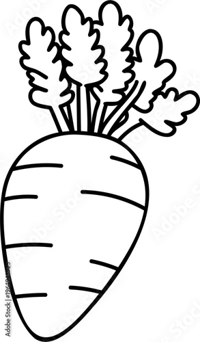 Konstfotografi Simple root vegetable