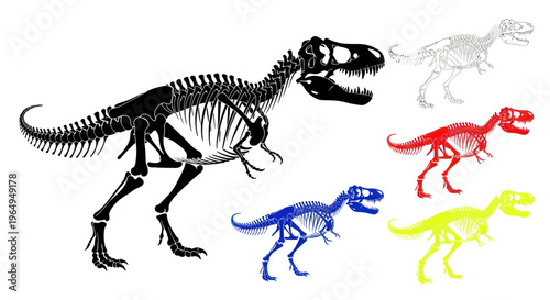 Dinosaur Skeletons Collection: Tyrannosaurus Rex in Black, White, Red, Blue, Yellow