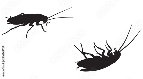 Two black cockroach silhouettes on a Transparent Background, one upside down and one right side up