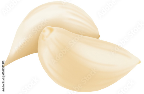 garlic