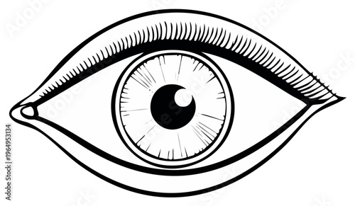 Engraved Style Human Eye Detailed Illustration Anatomy Eyeball Vision Sight Medical Science