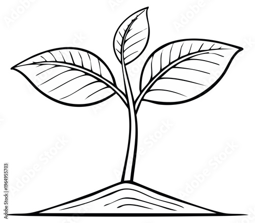 Simple outline drawing of a young plant with three leaves emerging from soil symbolizing growth and new beginnings