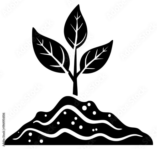 Seedling growing from soil representing new life and growth concept