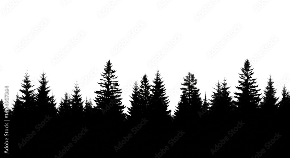 Obraz premium Ultra realistic uhd photo of a dense coniferous forest skyline silhouette (pine, spruce) against a bright white background, conveying deep tranquility and nature's raw beauty, concept of wild nature