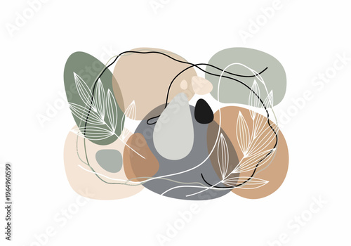 Koala sleeping on eucalyptus leaves peacefully.