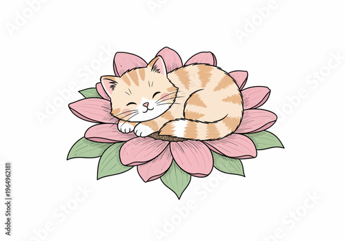 Sleeping Orange Tabby Kitten Pet.