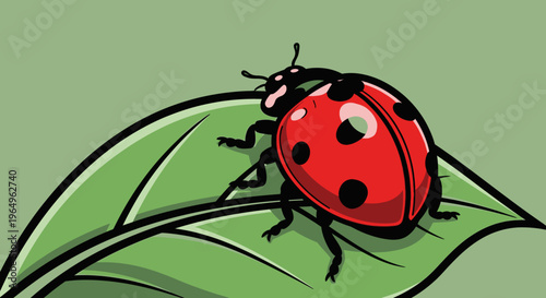 Ladybug on a green leaf closeup.