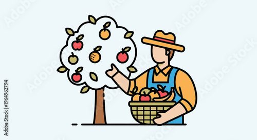 Man picking apples from tree 3.
