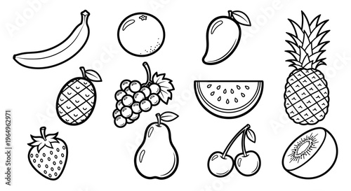 Variety of fresh fruit line art.