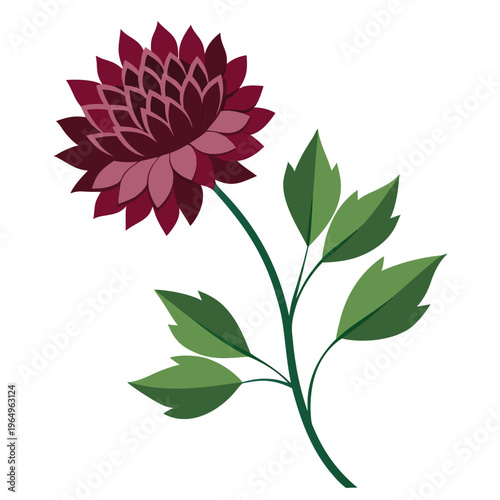 Εκτύπωση καμβά astrantia claret flower with branch on white background