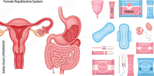 Flat vector illustration collection of outdoor camping equipment featuring a tent, backpack, hiking boots, campfire, compass, and mountain landscapes.
