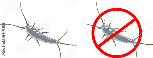 Set of Silverfish Icon Vector Household Pest Insect