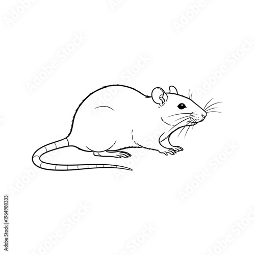 black and white line art drawing of a mouse