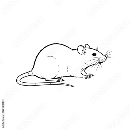 black and white line art drawing of a mouse